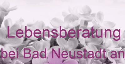 Lebensberatung Wollbach bei Bad Neustadt an der Saale | Top-Experten für Kartenlegen, Wahrsagen, Hellsehen, Zukunftsdeutung. Lebensberatung Wollbach bei Bad Neustadt an der Saale | Top-Experten für Kartenlegen, Wahrsagen, Hellsehen, Zukunftsdeutung.